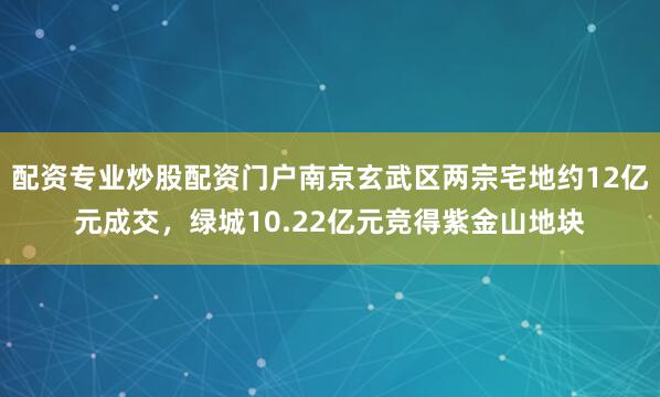 配资专业炒股配资门户南京玄武区两宗宅地约12亿元成交，绿城10.22亿元竞得紫金山地块