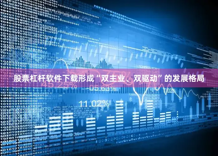股票杠杆软件下载形成“双主业、双驱动”的发展格局